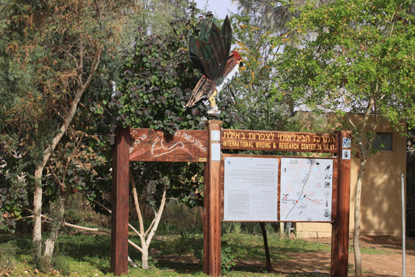 Birdwatching Center